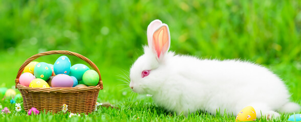 Colorful Easter eggs background. holiday, Easter background. Colorful Easter eggs on the green garden yard. symbol of Easter's day festival. vivid color natural background. festive wallpaper.