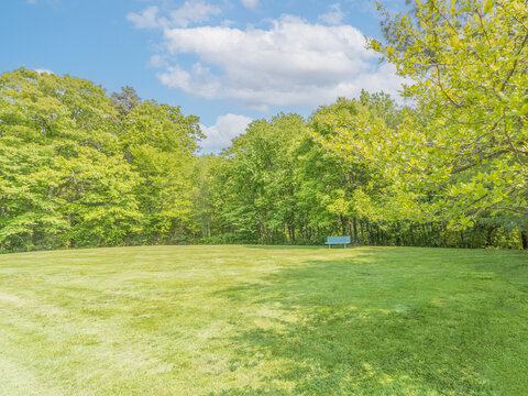 park on sunny day with grassy green lawn and green bench