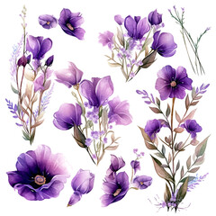 Set of purple floral watecolor. flowers and leaves. Floral poster, invitation floral. Vector arrangements for greeting card or invitation design	