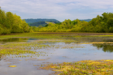 Sights seen while on a nature walk.