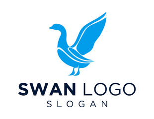Logo about Swan on a white background. created using the CorelDraw application.