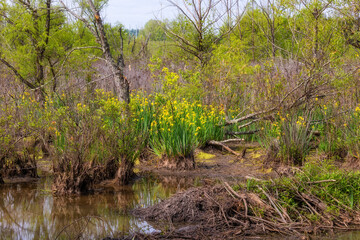 Sights seen while on a nature walk.
