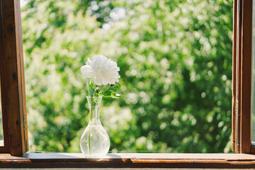 White peonies on a wooden window. Romantic concept. Vintage style