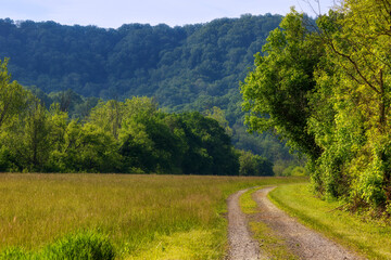 Sights seen while on a nature walk.