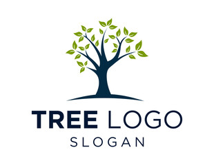 Obraz premium Logo about Tree on a white background. created using the CorelDraw application.