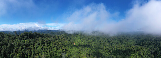 landscape view of rainforest at borneo sabah