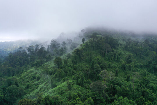 fog in the mountains at borneo sabah