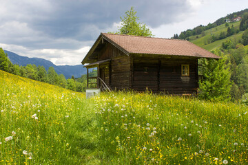 Obraz premium landscape in summer with barn house surrounded by a green meadow, Dachstein regionl, Austria