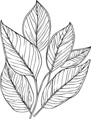 Leaf sticker zen tangle design. illustration sketch of hand-drawn leave isolated on white. Autumn falling and ink art style, botanical garden, decorative leaf line art tattoo design