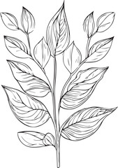 Botanical artwork decor, vector set of botanical leaf simple outline sketch doodle hand drawn illustration, botanical drawings of flowers, botanical drawings of wildflowers, botanical drawings.