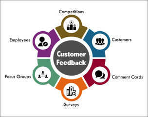 Customer Feedback cycle with icons and description placeholder in an infographic template