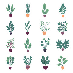 Collection of flat vector house plants isolated on white background