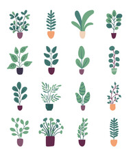 Collection of flat vector house plants isolated on white background