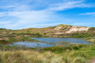 Fototapeta na wymiar Hiking through the dunes near Egmnd aan Zee - NL in spring