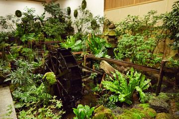 Japanese garden, well tended plants