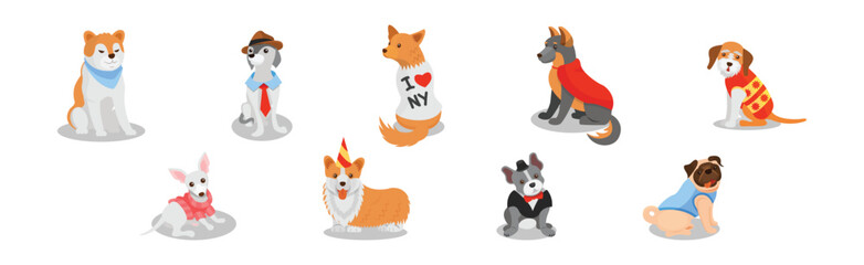 Obraz premium Dogs of Different Breeds Wearing Clothing Item Vector Set