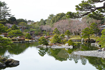 Fototapeta na wymiar japanese garden with pond and trees 