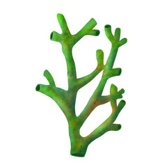 Obraz premium Green coral