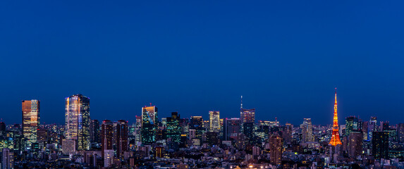 Night View of Tokyo, Japan