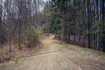 Road in forest around Cab Mountain near Vsetin city in Beskids, Czech Republic