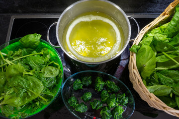 Garden-Fresh Spinach: From Harvest to Freezer