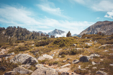 Mountain landscape - France - Pyrénées