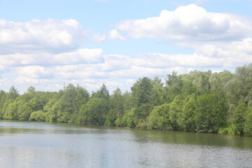 Beautiful summer landscape in the countryside. Green meadow and trees. Green forest with green meadow grassy landscape. Moscow region.