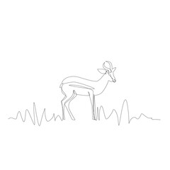 Continuous Thin Line Antelope, Minimalist Impala Drawing, One Line Art Antilopa, Single Gazelle Outline - obrazy, fototapety, plakaty