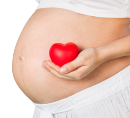 Pregnant mother showing her belly and holding a mini heart