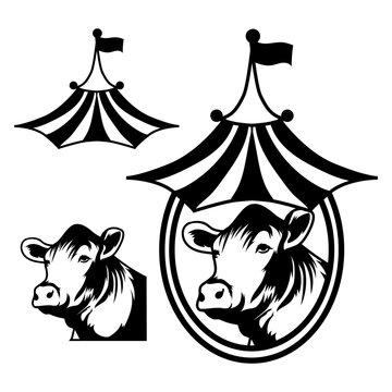 beefmaster heifer cattle livestock show logo