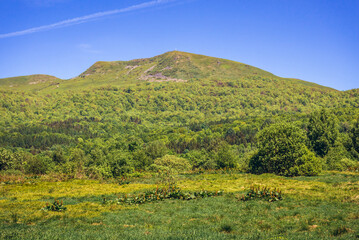 Fototapeta na wymiar Tarnica peak seen from Wolosate village in Bieszczady Mountains in Poland