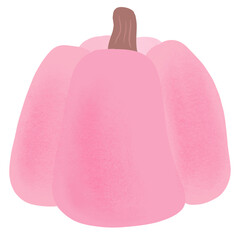 Pink Pumpkin Illustration