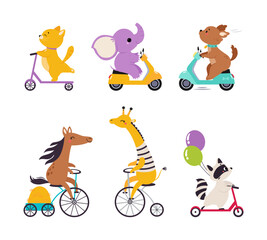 Cute Animal Riding Bicycle and Scooter Vector Illustration Set