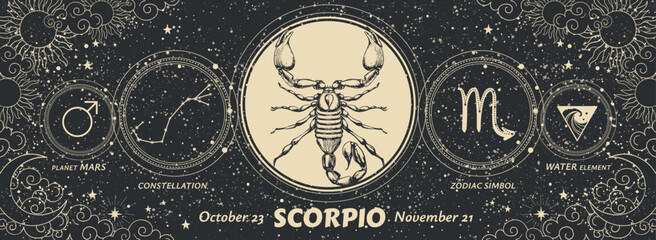 Scorpio zodiac sign, vintage banner with symbols, patterns and dates. Trendy black card with realistic hand drawing, astrology mystical vector illustration, horoscope, fortune telling.