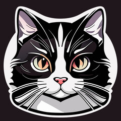 Vector illustration of a black and white cat with big eyes on a dark background. for t-shirt and other uses.