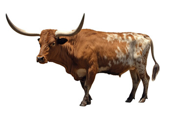 Cow transparent background, generative artificial intelligence
