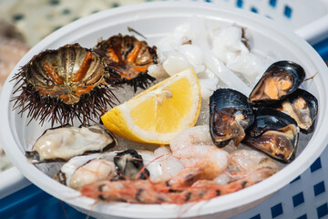 Plate of raw fresh sea fruit or food, ready to eat with sea urchins, prawns, shrimps, oysters,...