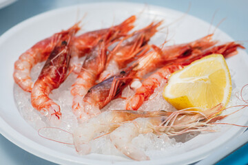 Plate of raw fresh red prawns and shrimps ready to eat with a slice of lemon and ice in a fish market in Bari, Puglia, Italy