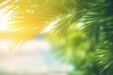 Fototapeta na wymiar Palm leaves in the sunlight.