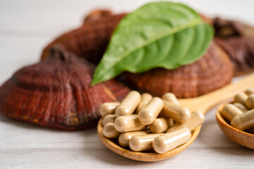 Dried lingzhi mushroom with capsule drug, alternative medicine herbal organic herb.