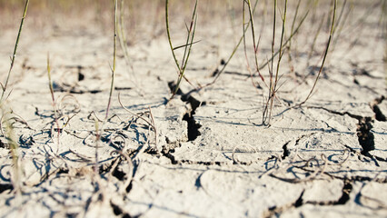 Drought Problem. Cracks On Dry Ground