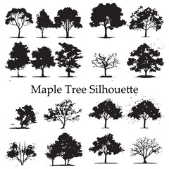 A set of silhouette Maple Tree vector illustration