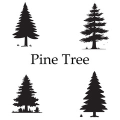 Silhouette pine tree vector illustration