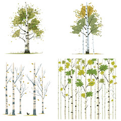 A set of flat birch tree vector illustration