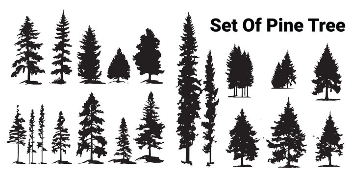 A set of silhouette pine tree vector design