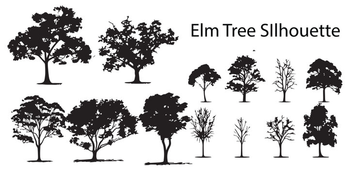 A set of silhouette willow tree vector design