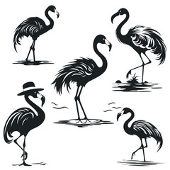 Set of Silhouette of a black flamingo bird, drawn on a white background. isolated vector.