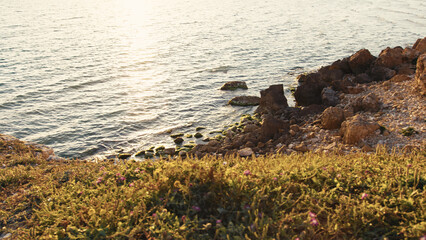 Protected nature reserve by the sea