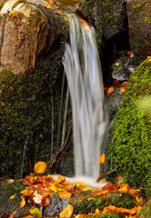 Fototapeta na wymiar waterfall in autumn