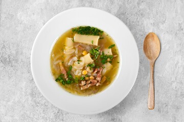 Tasty Chicken stew with vegetables and green herbs.